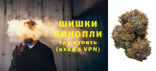 скорость Каменногорск