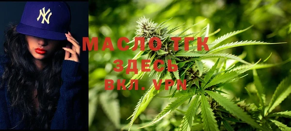 скорость Каменногорск