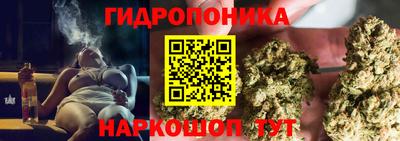 хмурый Чебоксары