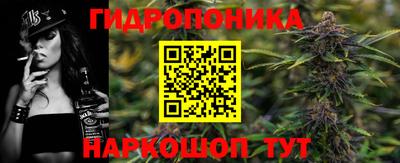 крисы Чебаркуль