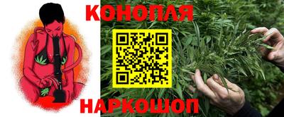крисы Чебаркуль