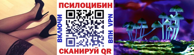 продажа наркотиков  Красноперекопск  Галлюциногенные грибы Cubensis 